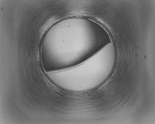 X0000080131459200612080944