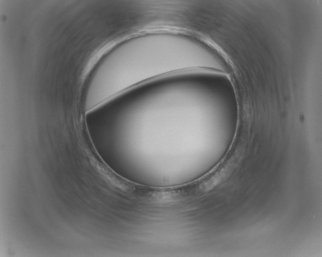 X0000080131461200612080944