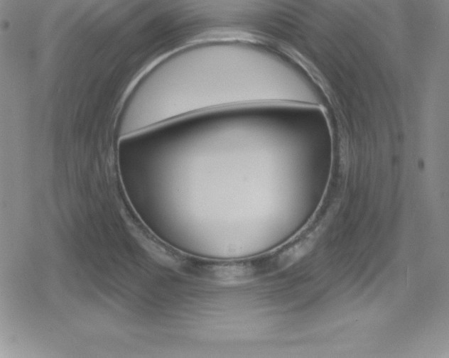 X0000080131465200612080944