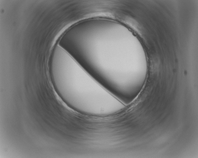 X0000080131468200612080944