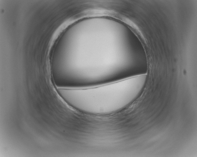 X0000080131472200612080944