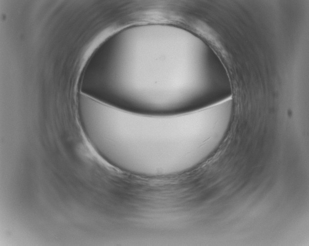 X0000080131479200612080944