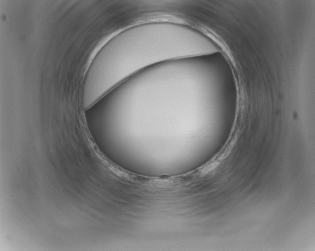 X0000080131481200612080943