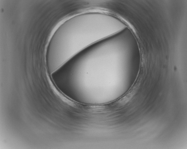 X0000080131483200612080943