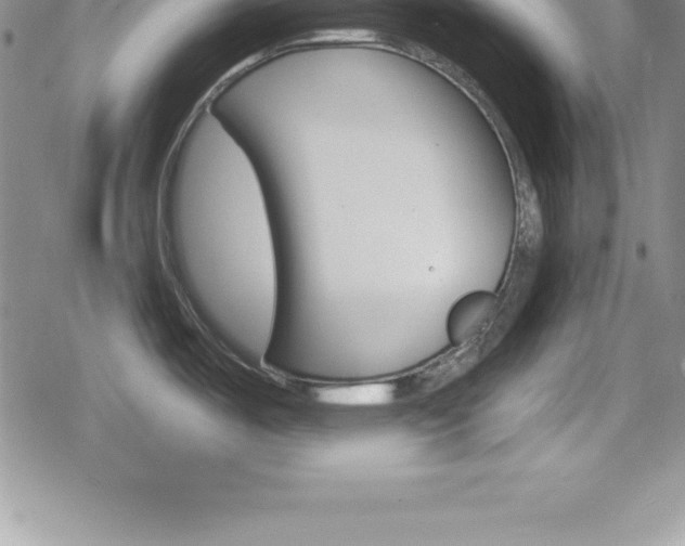 X0000080131487200612080943