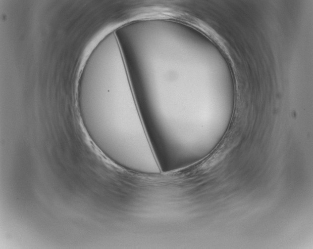 X0000080131488200612080943