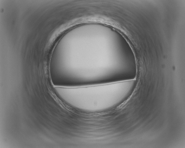 X0000080131499200612080943
