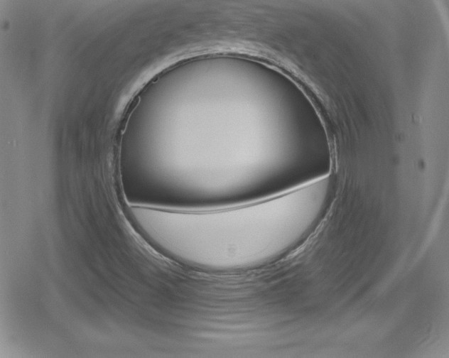 X0000080131500200612080943