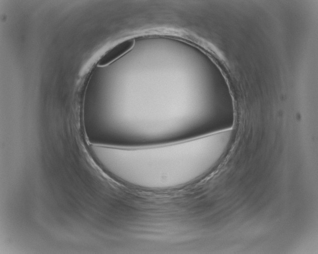 X0000080131504200612080943