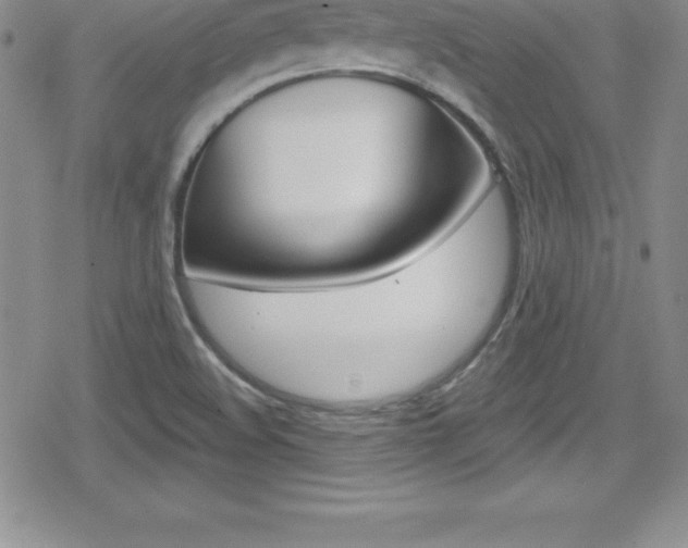 X0000080131508200612080943