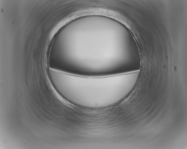 X0000080131523200612080943