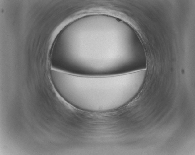 X0000080131527200612080943