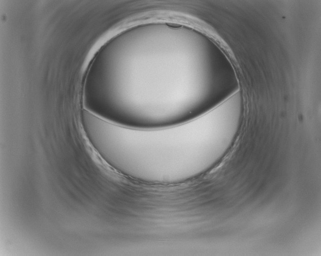 X0000080131530200612080943
