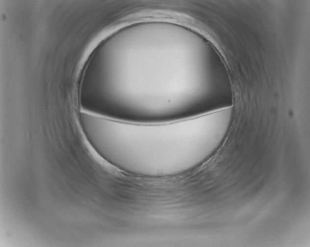 X0000080131531200612080943