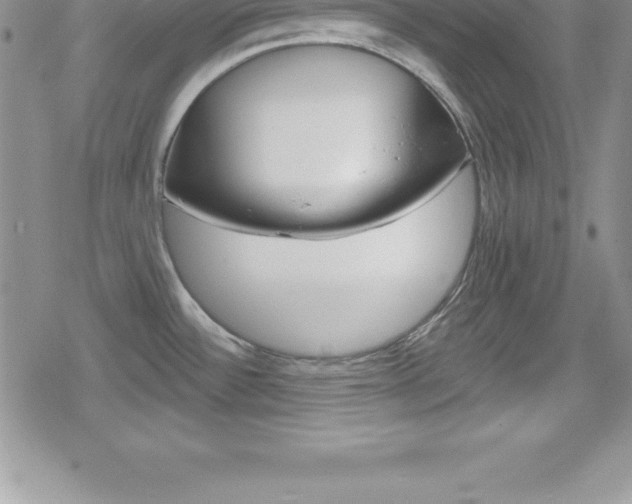 X0000080131532200612080943