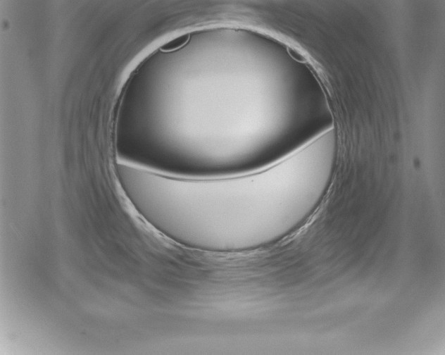 X0000080131534200612080943