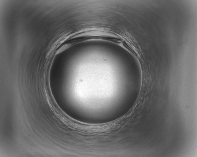 X0000080130001200612081242