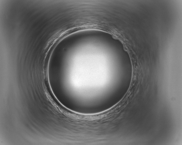 X0000080130002200612081242