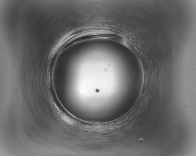 X0000080130005200612081242