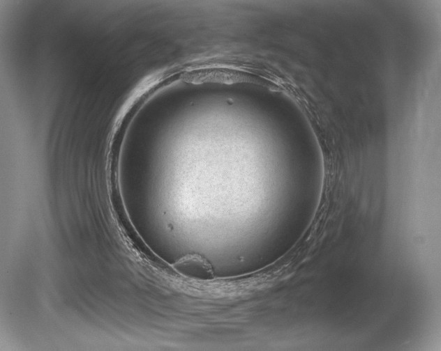 X0000080130006200612081242