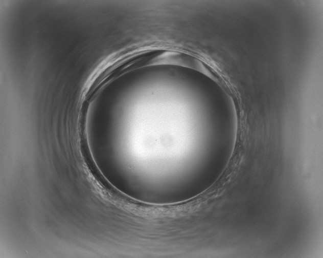 X0000080130007200612081242