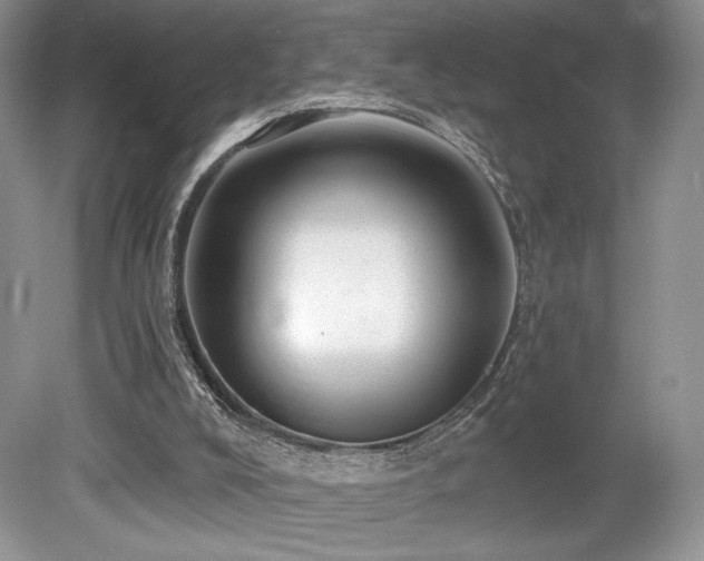 X0000080130008200612081242