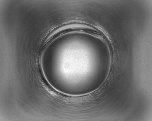 X0000080130009200612081242