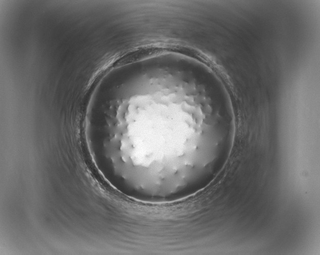 X0000080130010200612081242