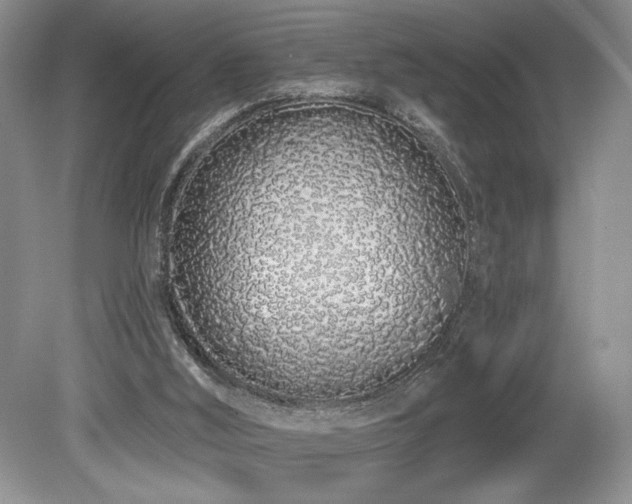 X0000080130012200612081242