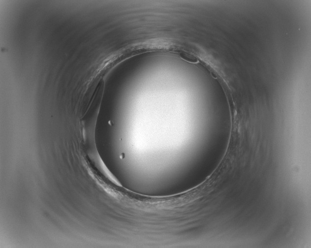 X0000080130013200612081242