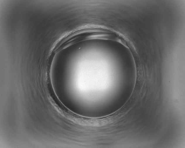 X0000080130015200612081242