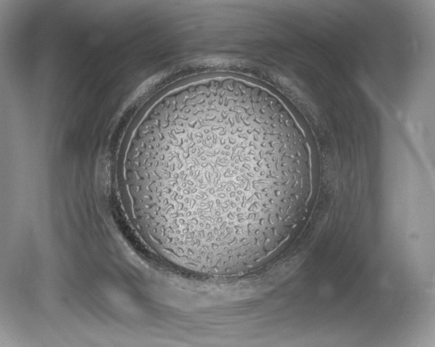 X0000080130016200612081242