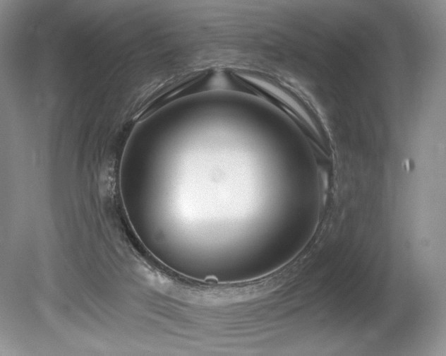 X0000080130017200612081242