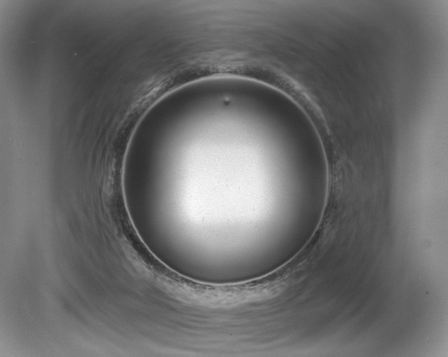 X0000080130018200612081242