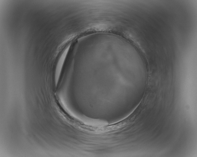 X0000080130019200612081242