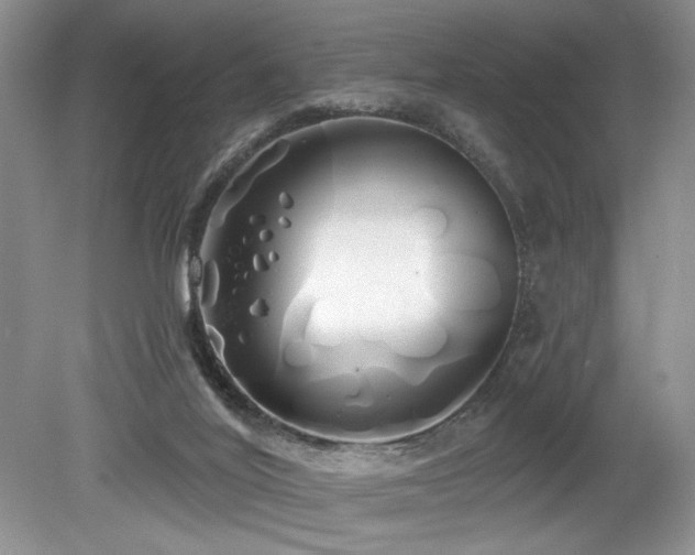 X0000080130020200612081242