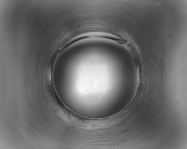 X0000080130021200612081242