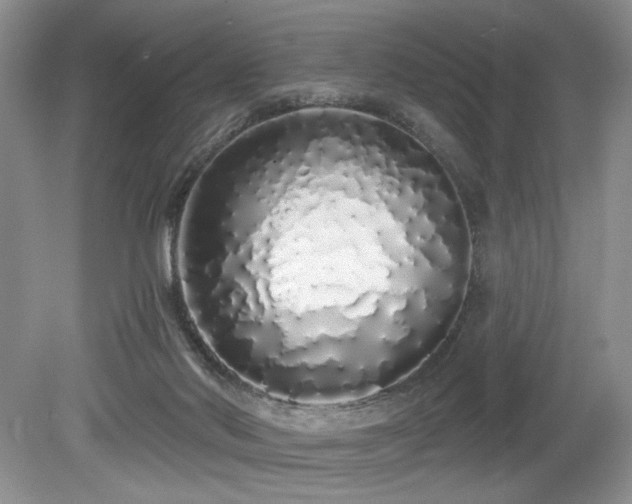 X0000080130022200612081242