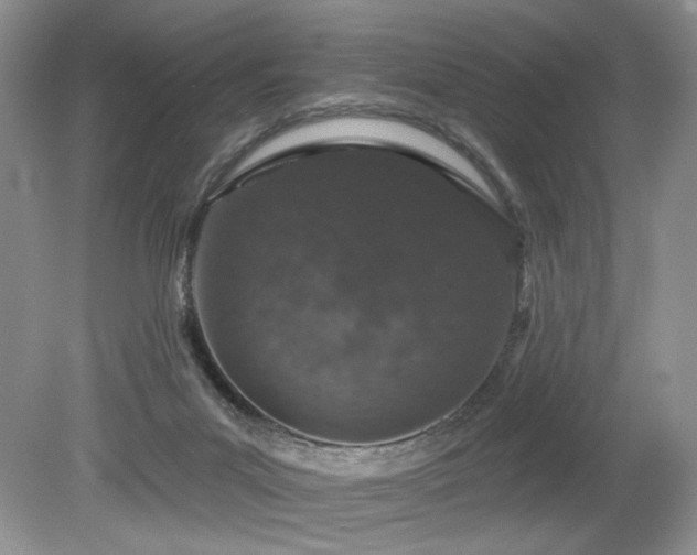 X0000080130023200612081242