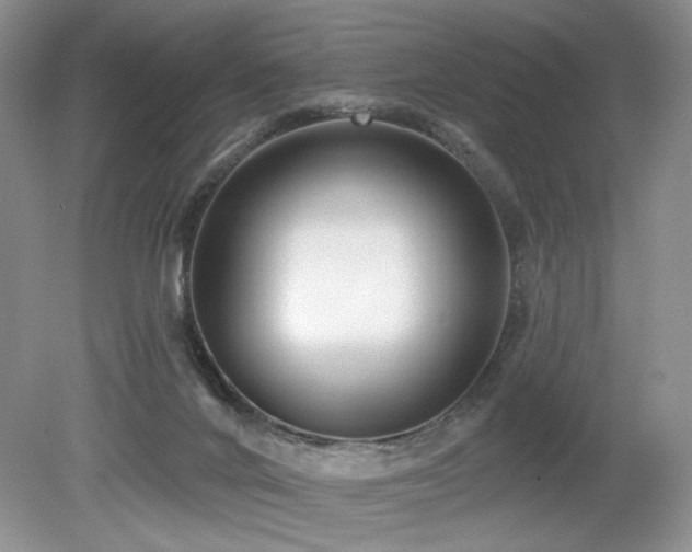 X0000080130024200612081242