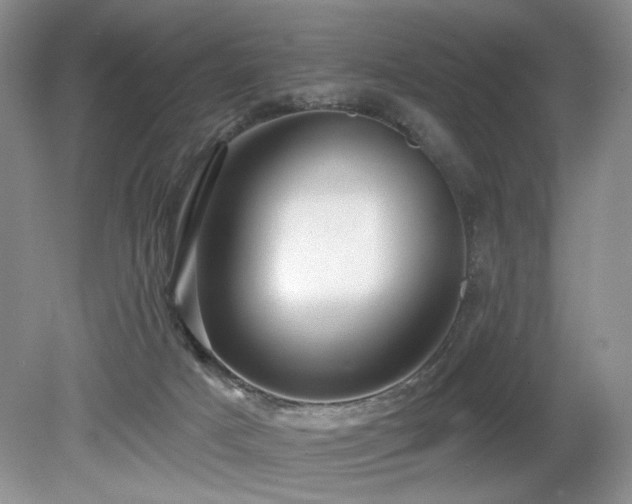 X0000080130025200612081242