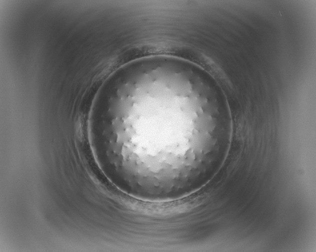 X0000080130026200612081242