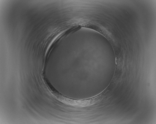 X0000080130027200612081242