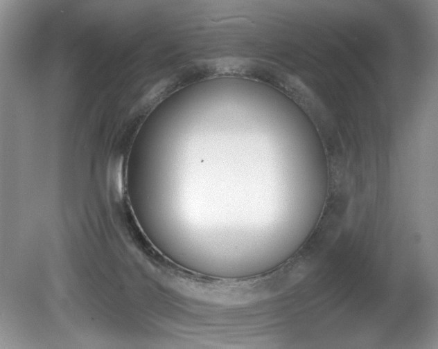 X0000080130028200612081241