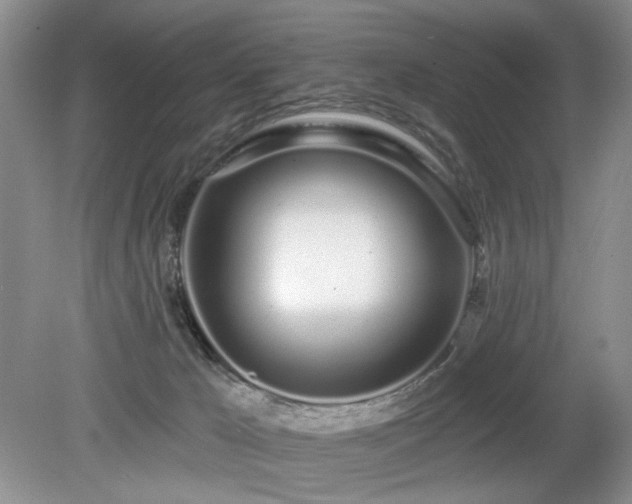 X0000080130029200612081241