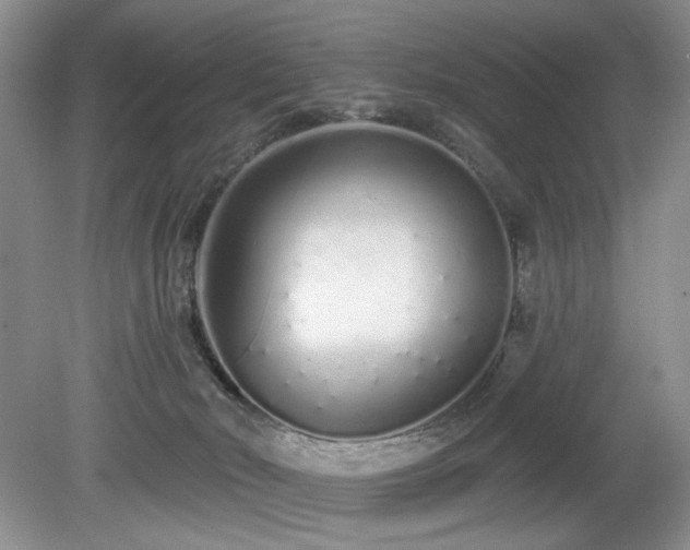 X0000080130030200612081241