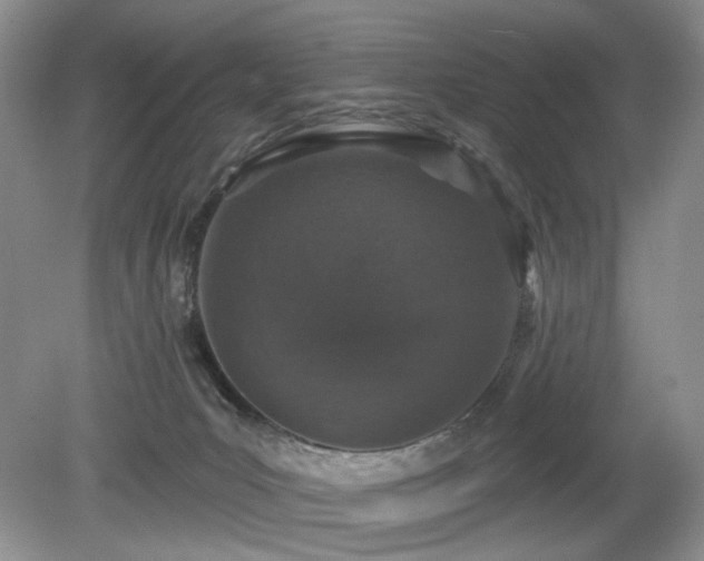 X0000080130031200612081241