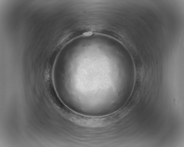 X0000080130032200612081241