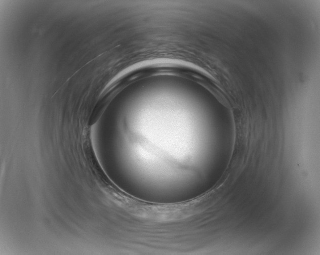 X0000080130033200612081241