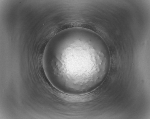 X0000080130034200612081241